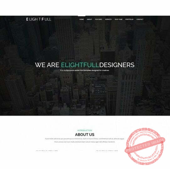 Elightfull - HTML Template