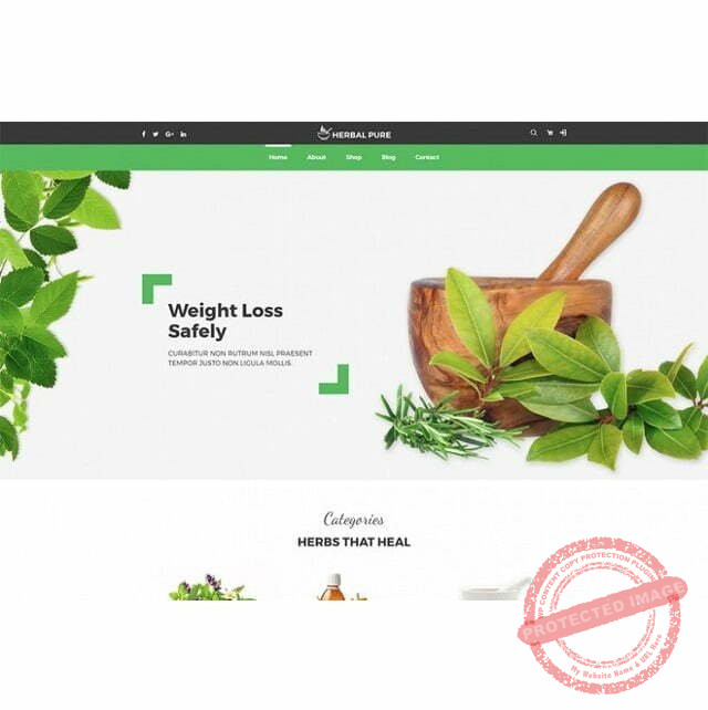 Herbal Pure - HTML Template