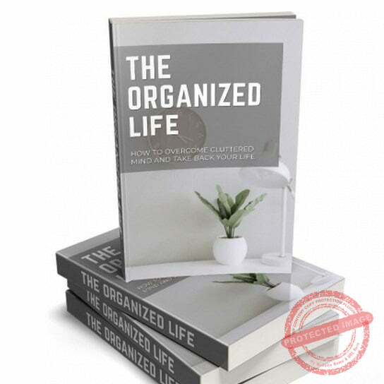 The Organized Life - eBook with Resell Rights